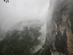 -鹿院坪生态旅游景区