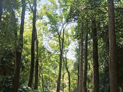 -赭山公园