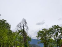 -丽江泸沽湖景区