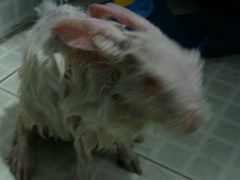 -味庄·家宴(金海四路店)