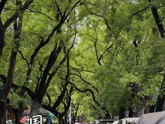 -北京国子监胡同