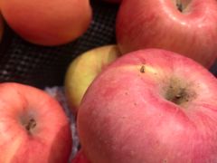 苹果-陈杨便民市场