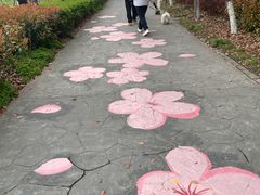 -高东镇樱花园