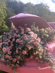 -花漾摄影优选工作室(东莞原创作品店)