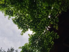 -七彩云南古滇温泉山庄