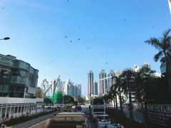 -龙城大药房