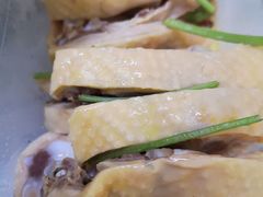 -九斤黄三黄鸡专卖店