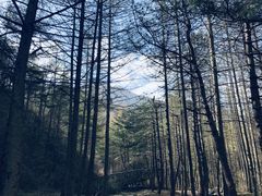 -秦岭风景区