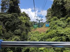 -野象谷景区