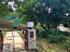 -帐篷客·溪龙茶谷度假酒店