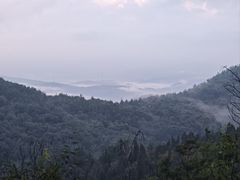 -长虫山生态公园风景林