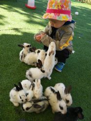 -萌宠亲子动物乐园(槐房万达店)