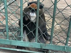 -秦皇岛野生动物园