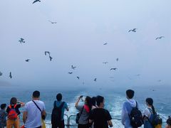 -海驴岛(荣成市)
