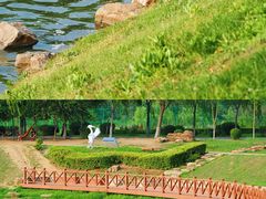 -丁香湖公园