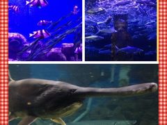 -厦门海底世界