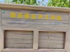 -溱湖国家湿地公园