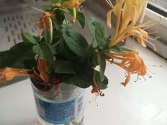 -复兴门(地铁站)