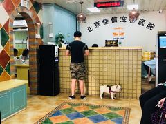 -北京佳信宠物医院