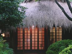 -中国茶叶博物馆(双峰馆区)