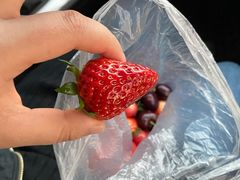 -川渔居—鱼火锅(八方汇店)