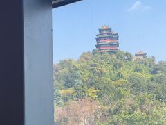 -七欣天香辣蟹火锅(南京建宁路大观天地店)