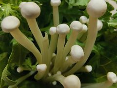 -羊家胡同·龙虾烧烤火锅(龙汇路店)