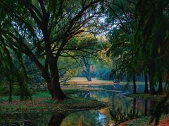 -上海共青森林公园