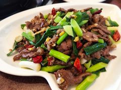 牦牛肉-炊烟餐厅