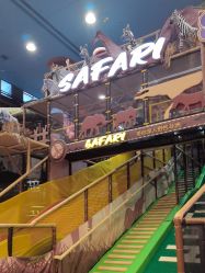 -卡通尼·Safari非洲探索乐园·生日会(金桥国际商业广场店)