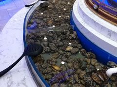 -澜悦港海鲜体验主题餐厅