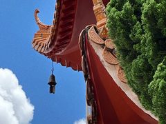 -深圳仙湖植物园