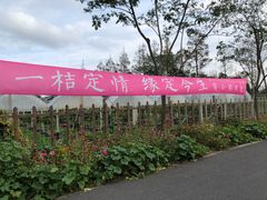 -前小桔亲子创意农场·草莓采摘·露营烧烤