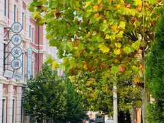 -清风小镇闯关东影视基地