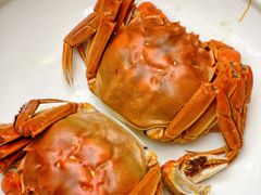 -唐猫庭院·千年陕菜(大唐不夜城店)