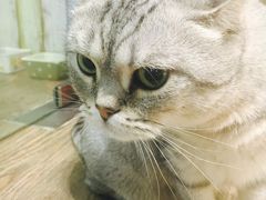 -小时光咖啡馆(开森度假森林店)