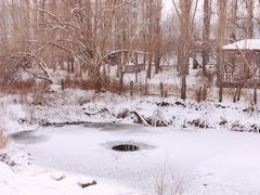 -伊犁河风景区