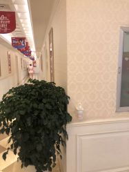 点击看大图 -昆明梦想医疗美容医院