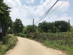 -宣兔头(马家场店)