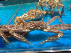 -盒马鲜生(曜一城店)