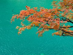 -叠溪松坪沟景区