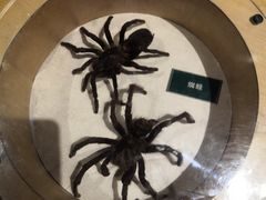 -陕西自然博物馆