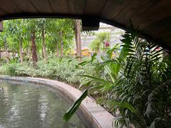 -南宫五洲植物乐园