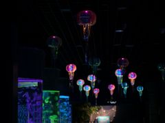 -石家庄极地海洋世界