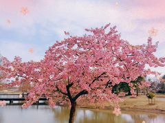 -上海辰山植物园