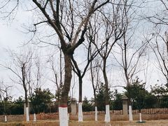 -燕郊植物园
