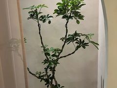 -左悦·艾灸调理·推拿按摩·精油SPA(卓悦汇店)