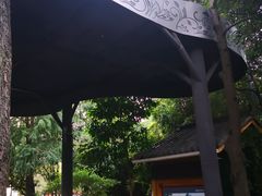 -成都市活水公园