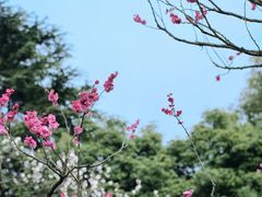 -无锡梅园公园