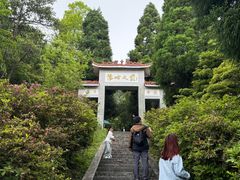 -江西阳明山国家森林公园